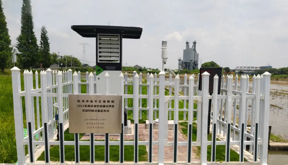 聽說(shuō)，現(xiàn)在流行這樣種田