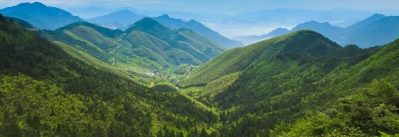智慧護(hù)林有妙招，看太子山如何用科技守護(hù)森林