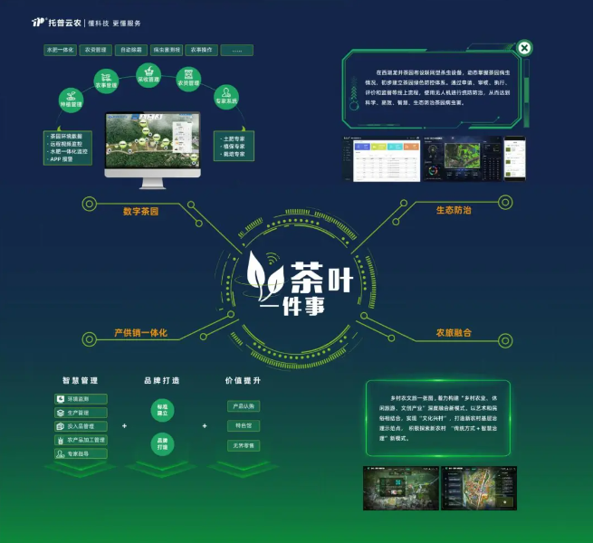 “數(shù)字”賦能茶產(chǎn)業(yè)，“茶葉一件事”續(xù)寫中國茶發(fā)展新模式