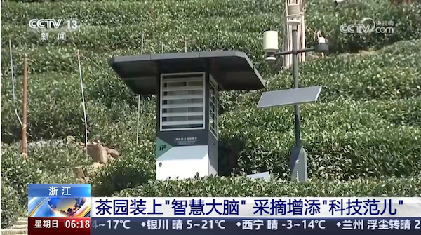 央視、人民網(wǎng)等權威媒體聚焦西湖龍井：托普云農(nóng)“黑科技”點亮千年茶香智變之路