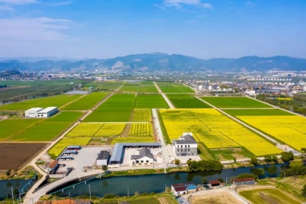 托普云農(nóng)高標準農(nóng)田建設答卷：用實踐書寫政策新篇