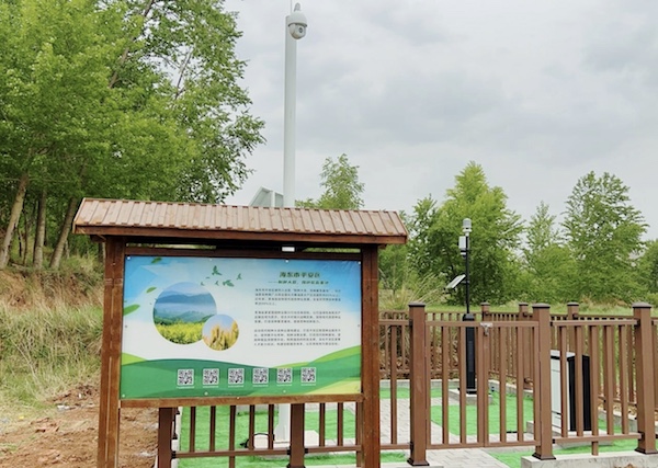 走進(jìn)國家級(jí)油菜夏繁基地，感受科技賦能蓬勃?jiǎng)恿?></a> </div>
          <div   id=