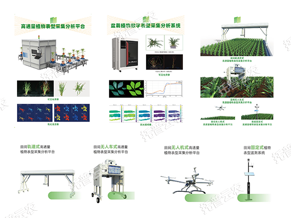 AI+農(nóng)業(yè)新突破！托普高通量植物表型智能分析平臺(tái)助力智慧農(nóng)業(yè)創(chuàng)新發(fā)展